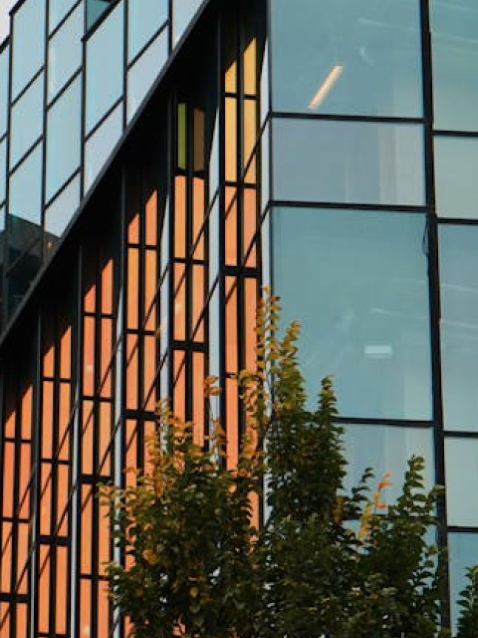 Alt tekst van afbeelding